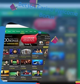 Bet casino 365